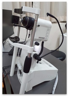 Confocal Microscopy